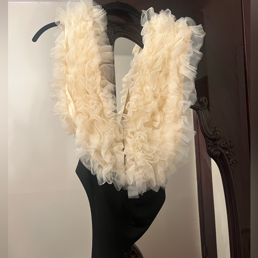 Tulle women’s fashion top. Fun for a girls night out. Bodysuit